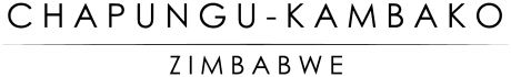 Chapungu Safaris Africa Pvt Ltd logo