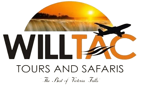 Willtac Tours and Safaris logo